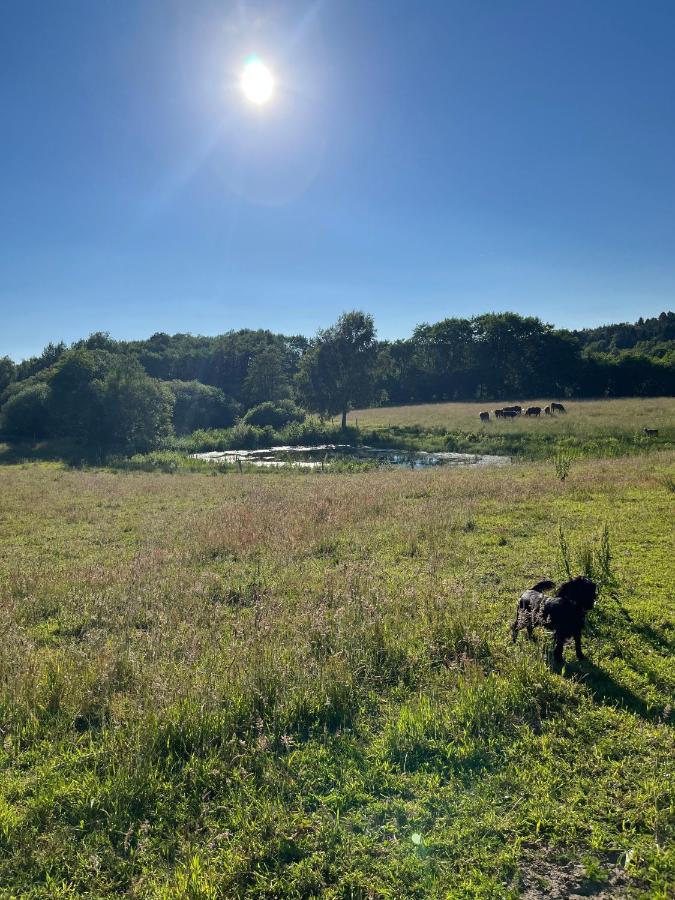 Gaestfri Overnatning Gjern Exteriör bild